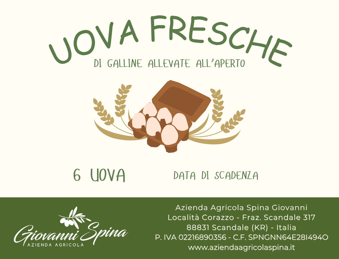 Uova fresche — 2