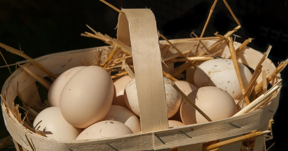 Consegna Uova