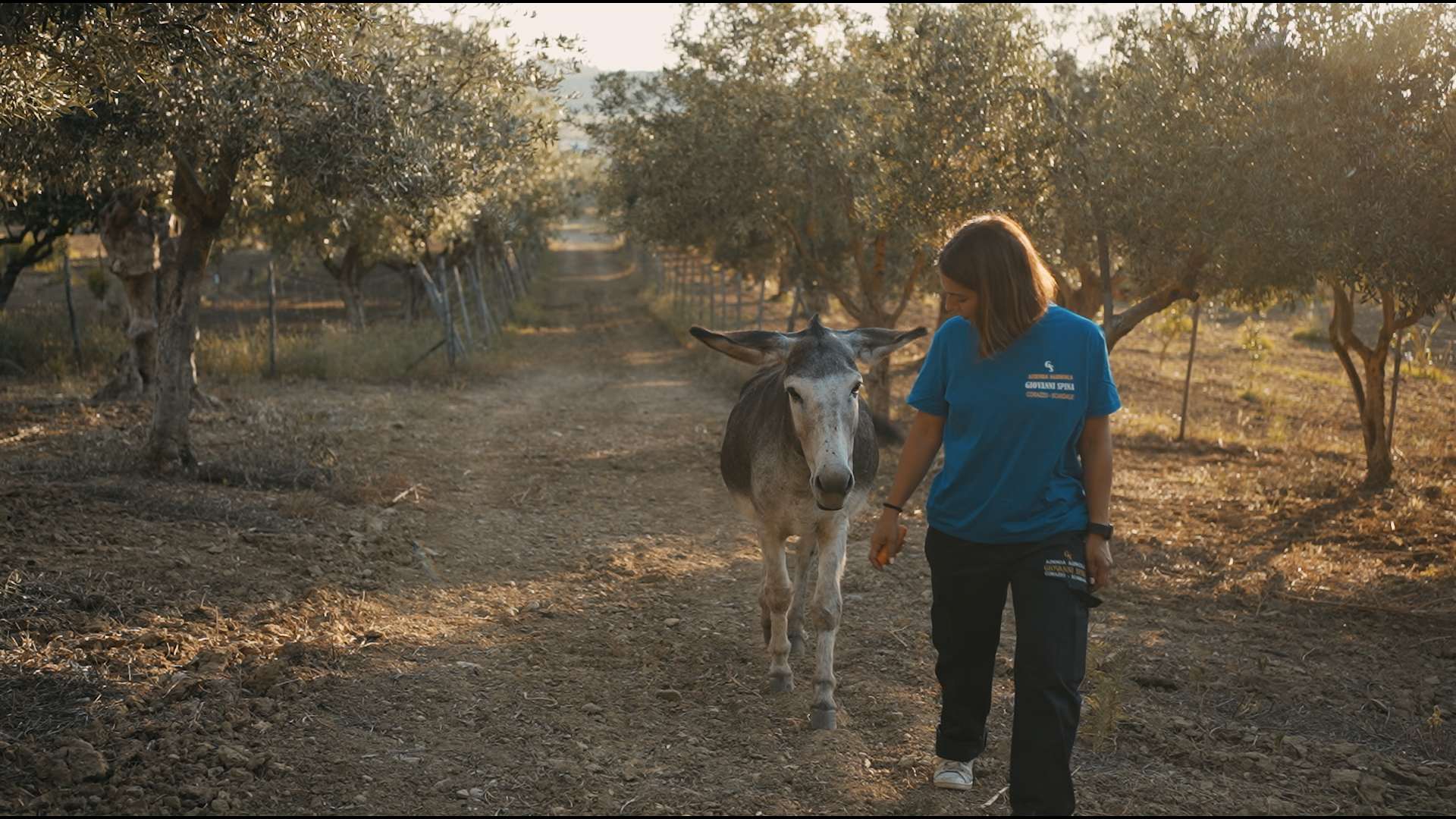 FOTO AZIENDA AGRICOLA SPINA 2025 Copia 01.00_00_54_21.Immagine025