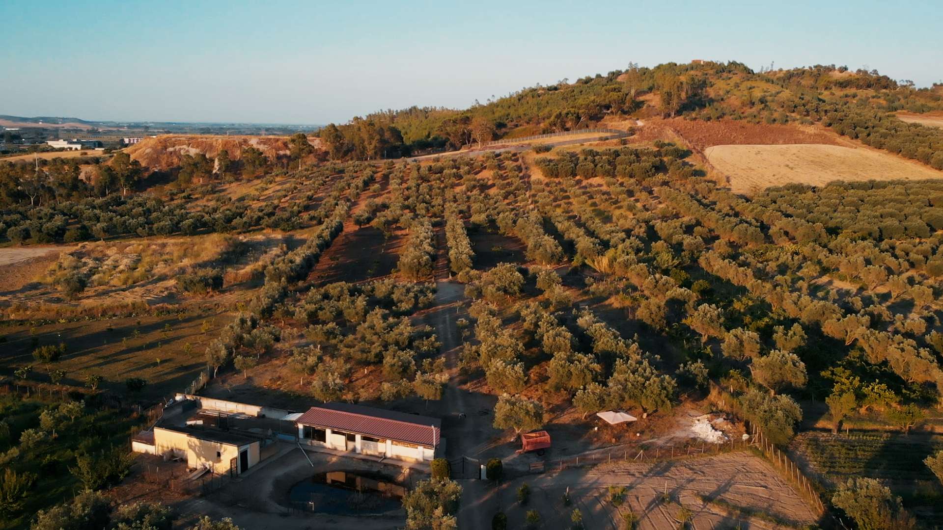 SPOT AZIENDA AGRICOLA SPINA 2025.00_00_06_12.Immagine003